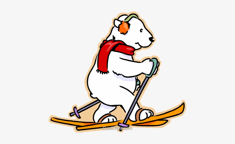 Polar Bear Cross Country Skiing Royalty Free Vector - Cross Country Skiing Bear, transparent png download