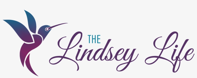 The Lindsey Life - Your Owner's Manual For Life: Source Code Our Life, transparent png download
