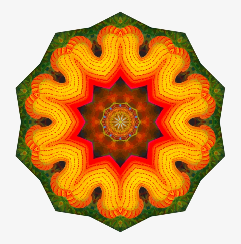Actiniae Drawing Symmetry Computer Icons Sea Anemone - Drawing, transparent png download