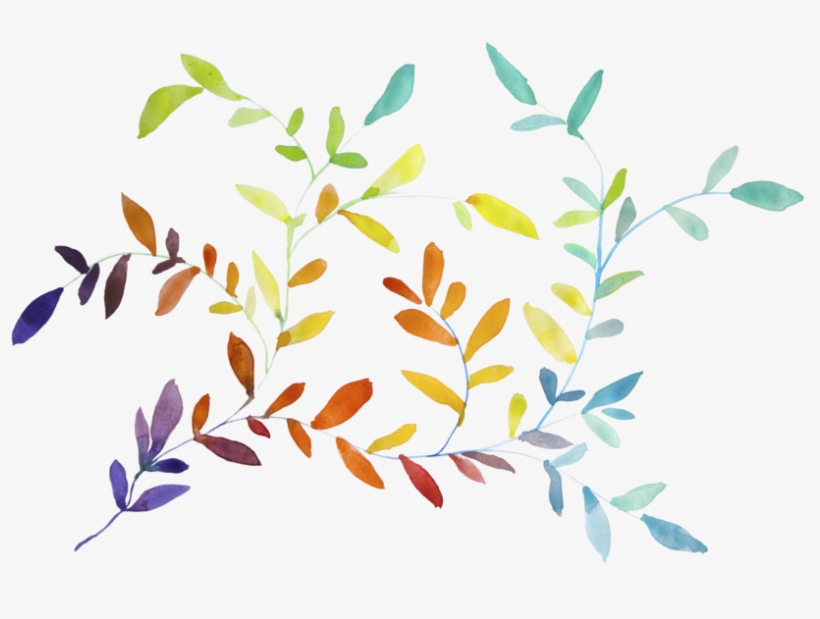 Hojas De Colores En Acuarela - Facebook, transparent png download
