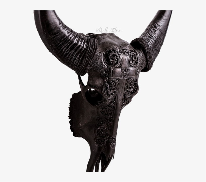 Carved Buffalo Skull - Horn, transparent png download