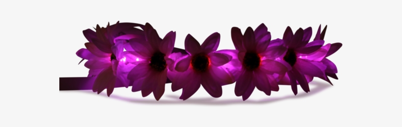Light Up Flower Crown-littlelightlab - Flower, transparent png download