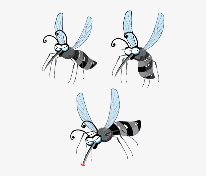 Yellow Fever Mosquito Chikungunya Virus Infection Dengue - Mosquito, transparent png download