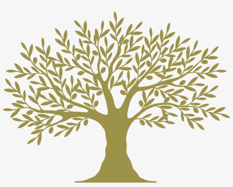 Energaea Brings An Ancient And Organic Passion, A Passion - طراحی ارمم برای درخت, transparent png download