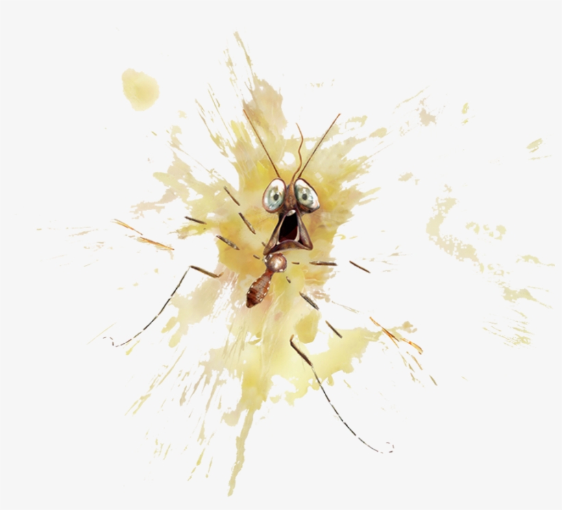 Insectconservation, Insect News & Id, Insect Museum - My Critter Catcher Spider & Insect Catcher, transparent png download