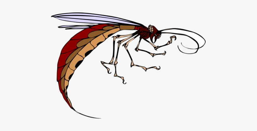 Insect Wing Mosquito Download Computer Icons - Insectos Con Alas Y Antenas, transparent png download