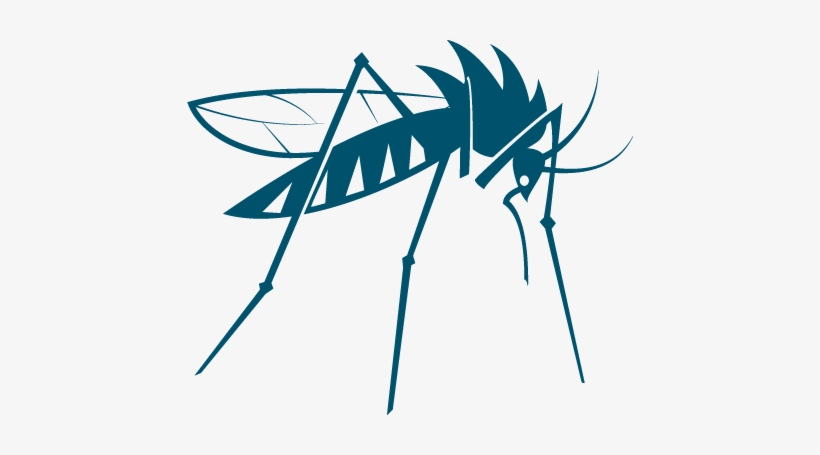 Mosquito Illustration Png, transparent png download