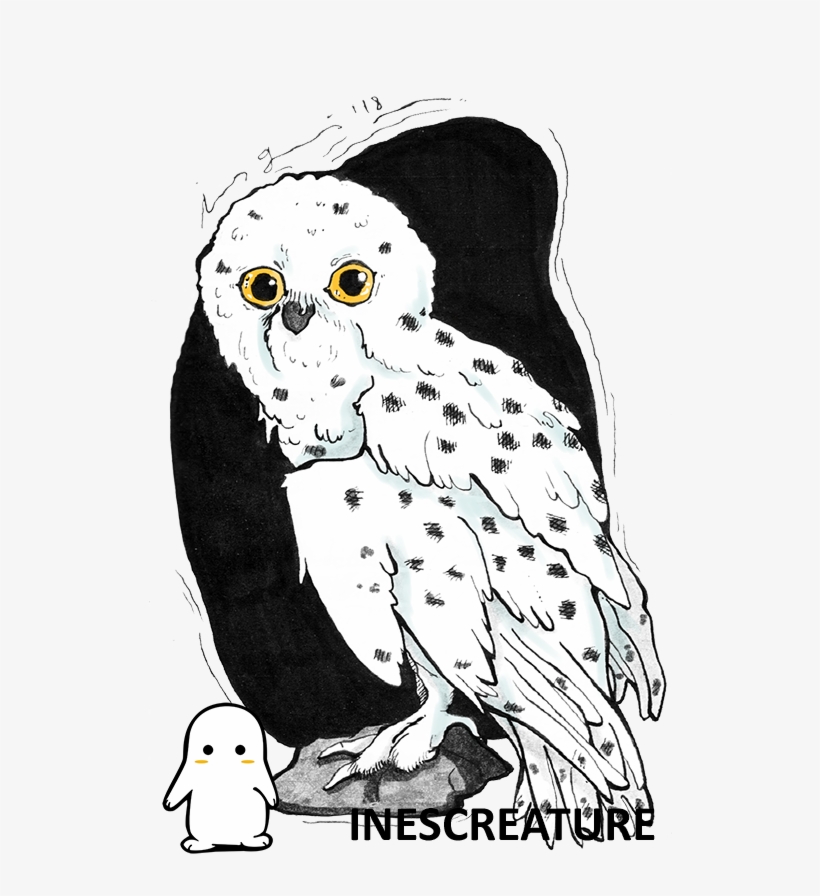 “i Think I'm A Tiny Bit Like Harry 'cos I'd - Cartoon, transparent png download