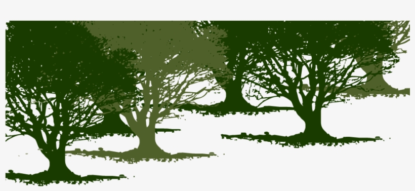 Olive Tree Background - Illustration, transparent png download