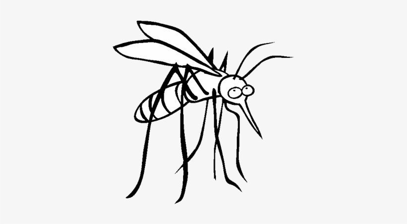 Aviral Resources - Coloring Picture Of Mosquito, transparent png download