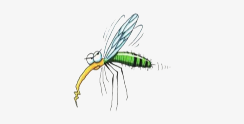 Mosquito Clipart Transparent - Transparent Background Mosquito Clipart, transparent png download