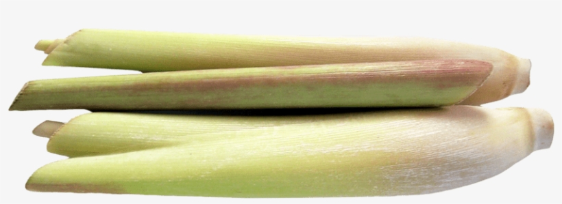 Best Lemongrass Png - Portable Network Graphics, transparent png download