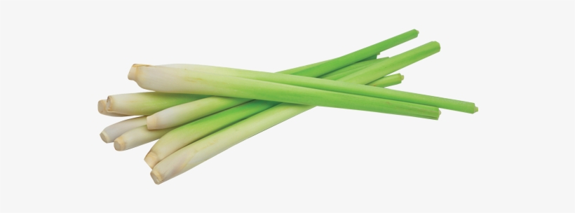 Lemongrass - Lemongrass Png, transparent png download