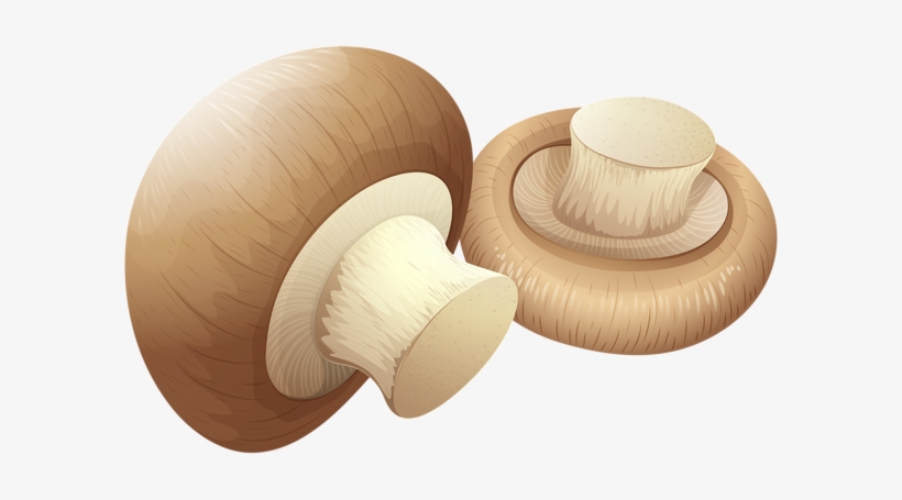 Mushrooms Png Clip Art - Clip Art Mushroom Png, transparent png download