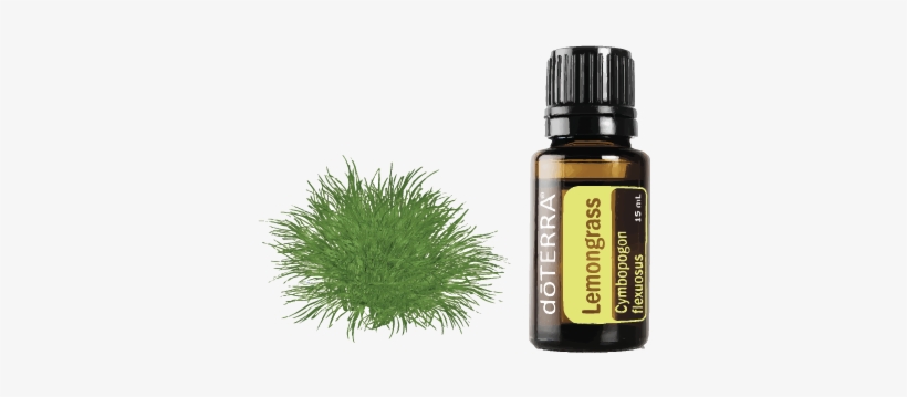 Lemongrass Essential Oil Benefits Doterra, transparent png download
