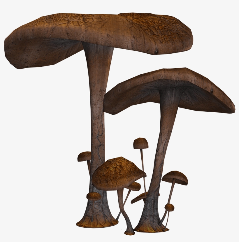 Nature - Fantasy Mushrooms Png, transparent png download