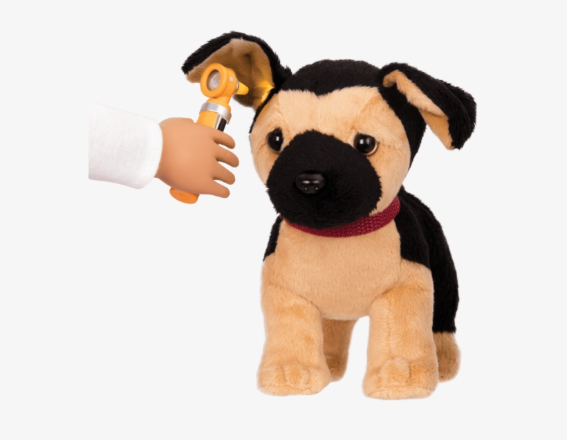 //s3 Ca Central - Pug, transparent png download