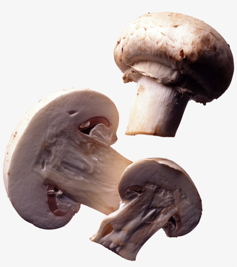 Cut Mushrooms Png Image - Mushroom Transparent, transparent png download