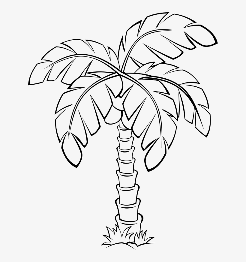 Palm Tree Clip Art Outline Rectangle Circle