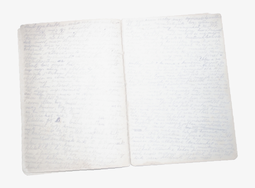 A Page From Júlia Bauer's Journal Written In Auschwitz, - Book, transparent png download
