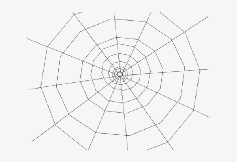 Spider Web Clip Art, transparent png download