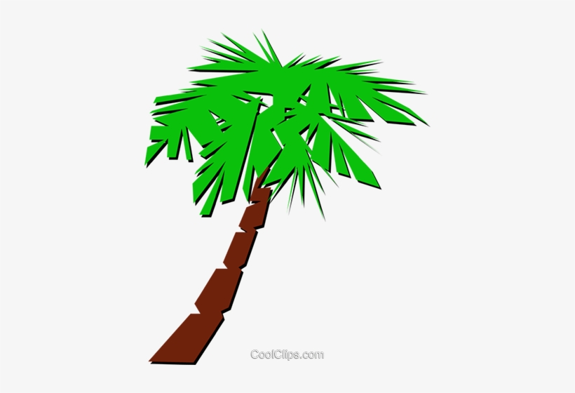 Palm Tree Symbol Royalty Free Vector Clip Art Illustration - Vector Graphics, transparent png download