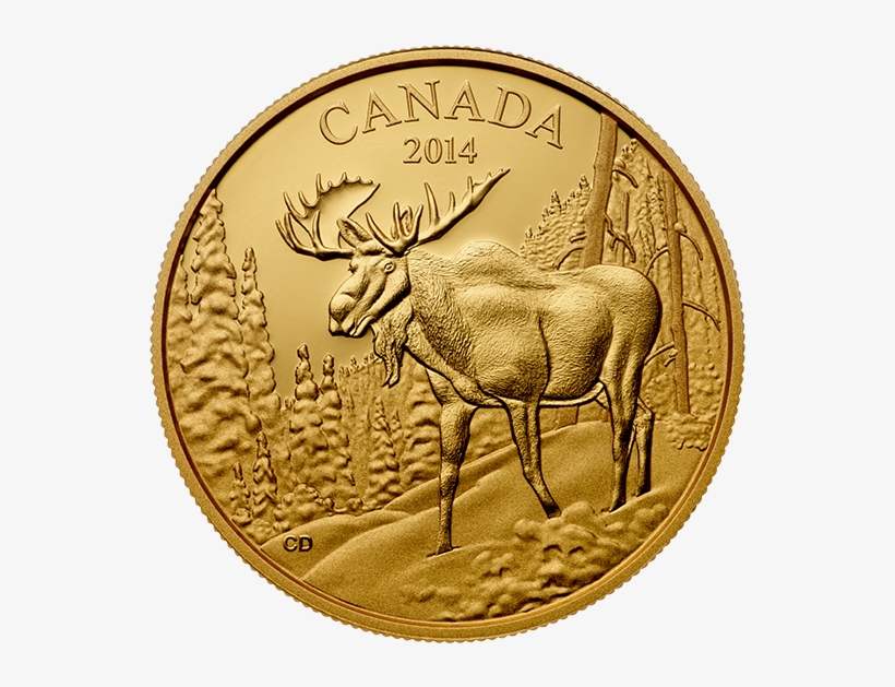 Canada 350 Dollars Gold Coin 2014 The Majestic Moose - 2014 Pure Gold 350 Dollar Coin - The Majestic Moose, transparent png download