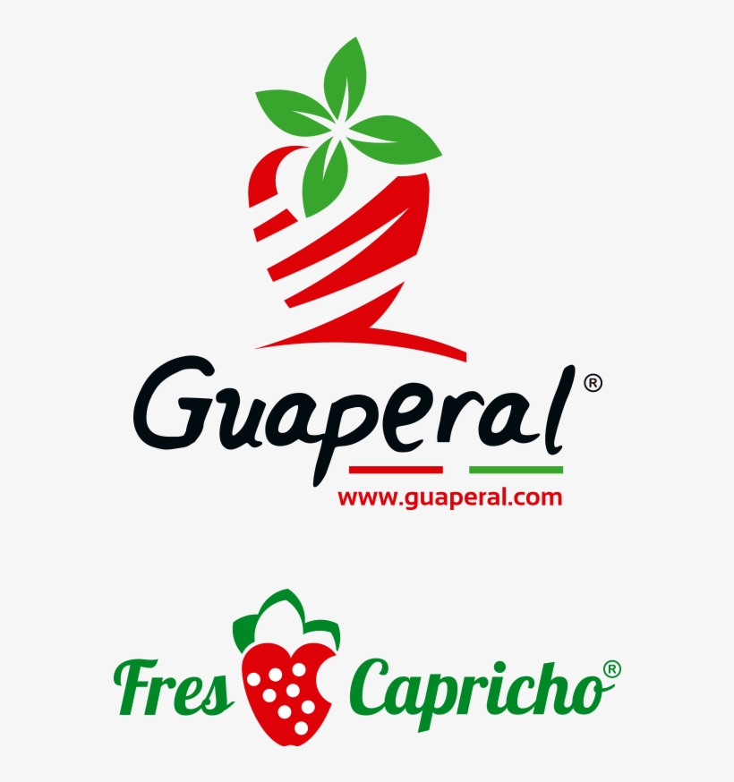 Productores De Fresas - False Solid Cappuccino Baker's Twine (240 Yards), transparent png download