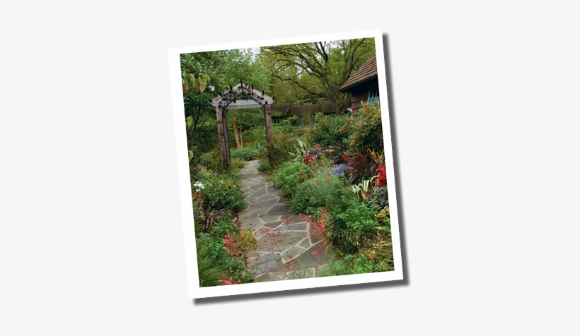 Perfecting Plant Combinations - Front Yard Gardens, transparent png download