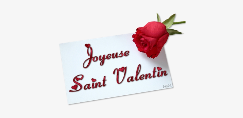 Nicolas Charlier - Bonne Soirée La Famille, transparent png download