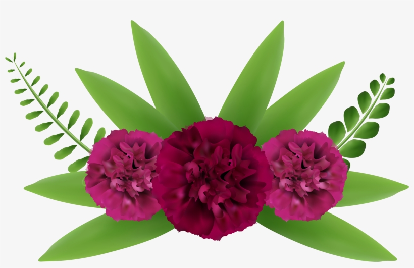 0, - Latest Flower Images Png, transparent png download