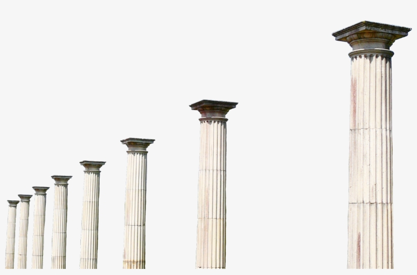 Report Abuse - Photography, transparent png download