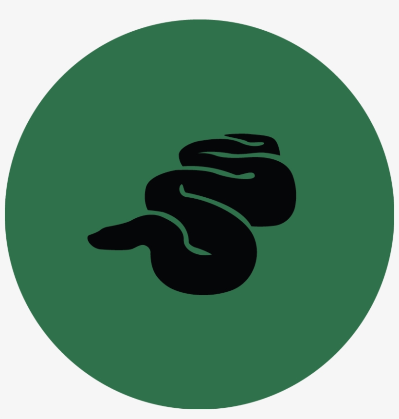 Slytherin - Circle, transparent png download