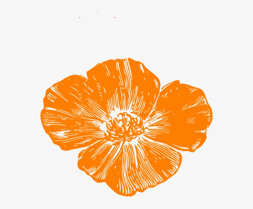Jpg Freeuse Download Peach Poppies Clip Art At Clker - California Poppy Png, transparent png download