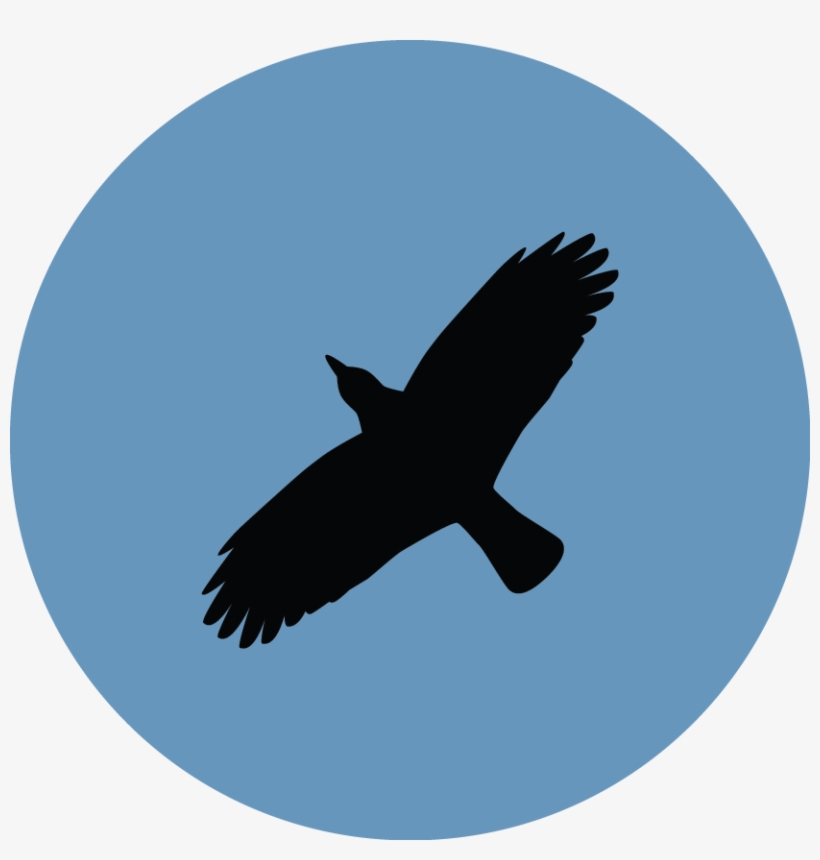 The Ultimate Harry Potter Quiz - Ville De Saint Etienne, transparent png download
