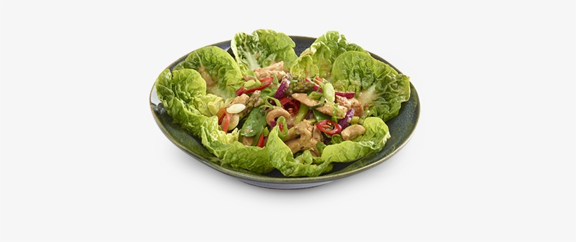 Warm Chilli Chicken Salad - Wagamama Warm Chilli Chicken Salad, transparent png download
