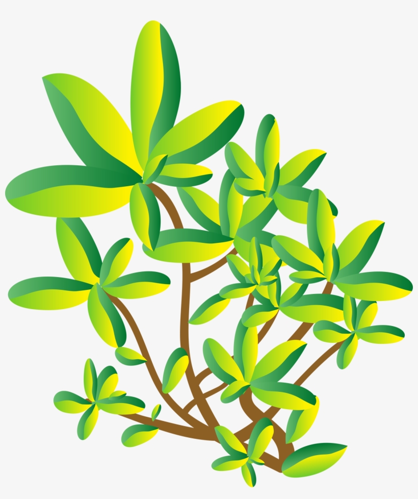 Free Floral Vector Graphics - Modern Green Tree 30 Shower Curtain, transparent png download