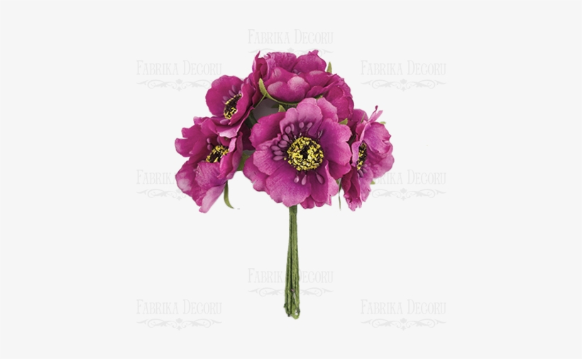 Color, transparent png download