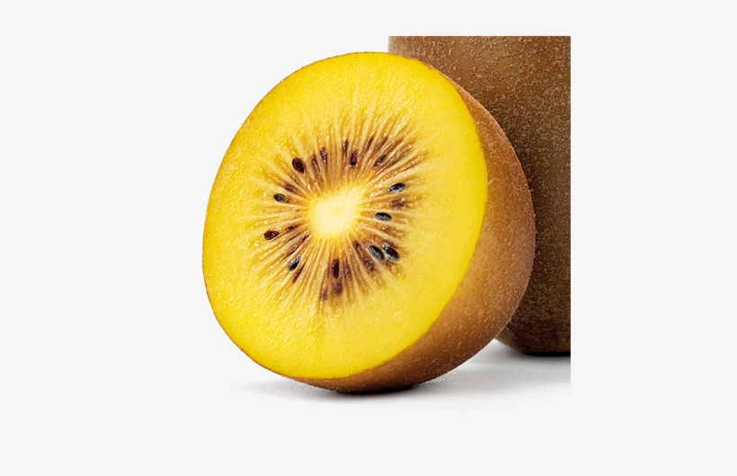 Kiwi Variedad Jintao - Variedades De Kiwi En Chile, transparent png download