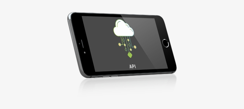 Kiwi Produkte Api - Product, transparent png download