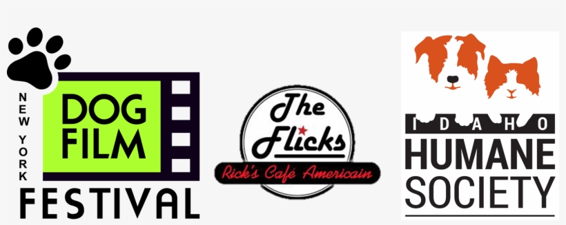 Flicks Movies Dog Film Festival - Film, transparent png download