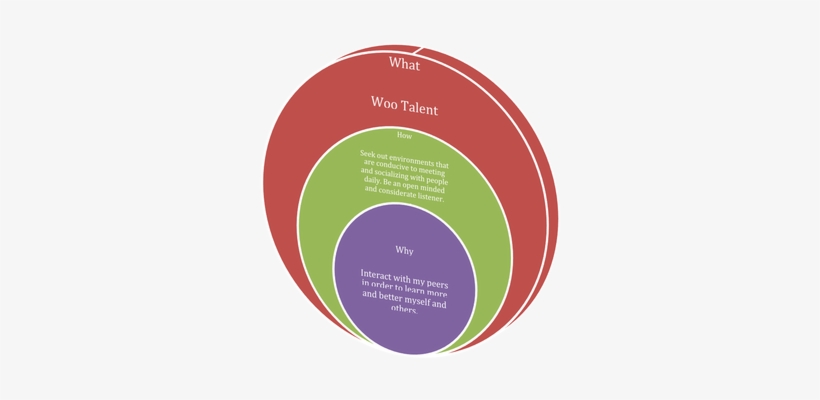 "leaders And Organizations With The Capacity To Inspire - Nicho Segmentacion De Mercado, transparent png download