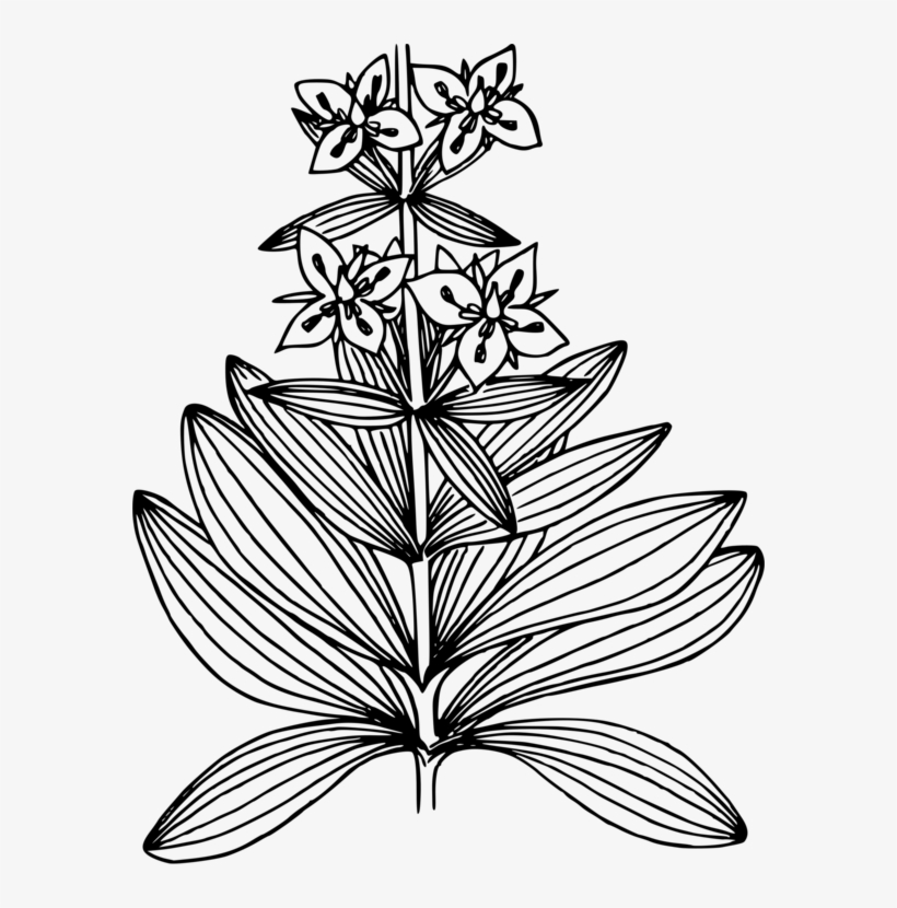 Coloring Book Elk Drawing Maze Computer Icons - Clip Art, transparent png download