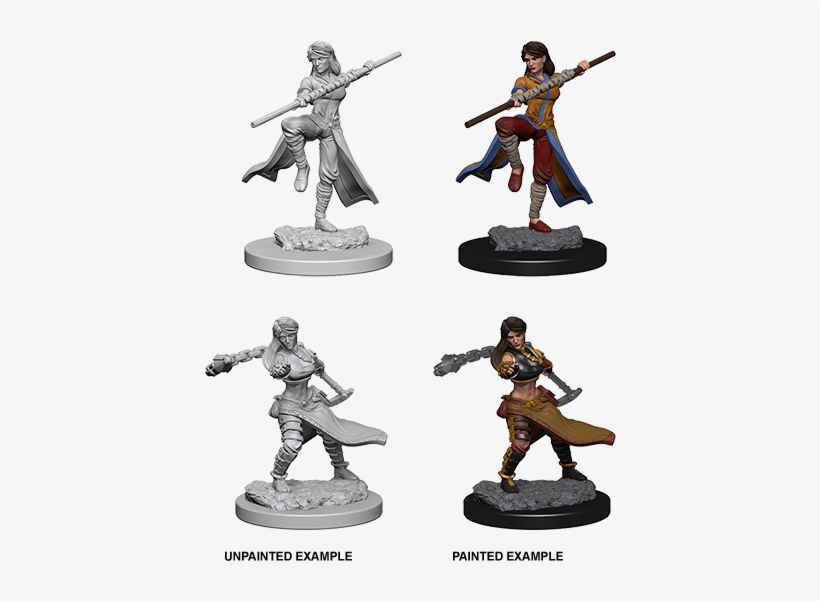 Add To Wish List - Nolzur's Marvelous Miniatures Vampire, transparent png download