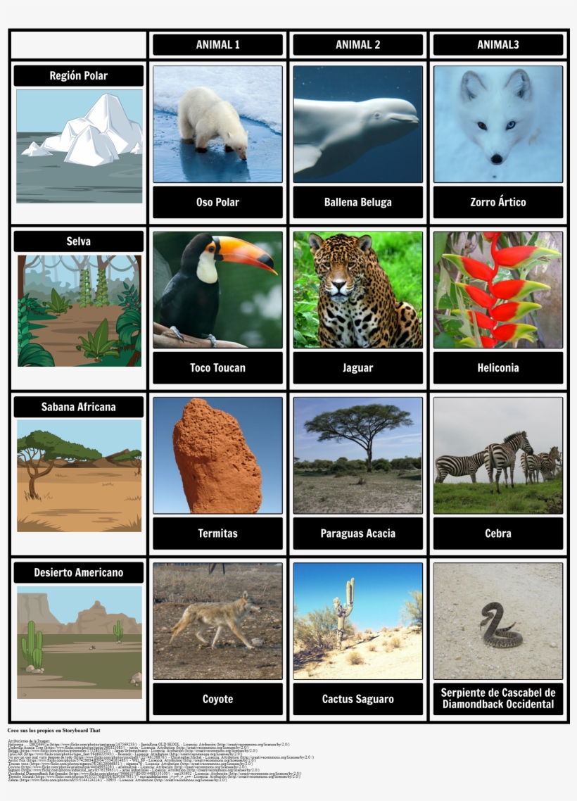 Hábitat De Los Animales - Animals And Their Habitat, transparent png download
