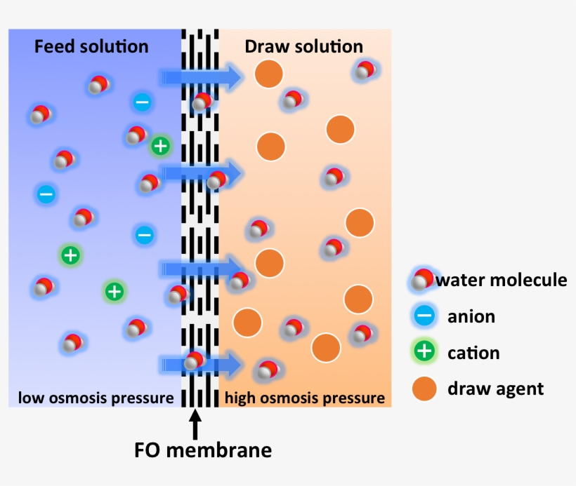 Fig2 - Portable Network Graphics, transparent png download