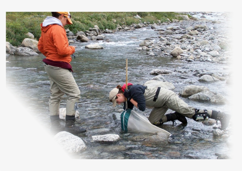 Canadian Rivers Institute, transparent png download