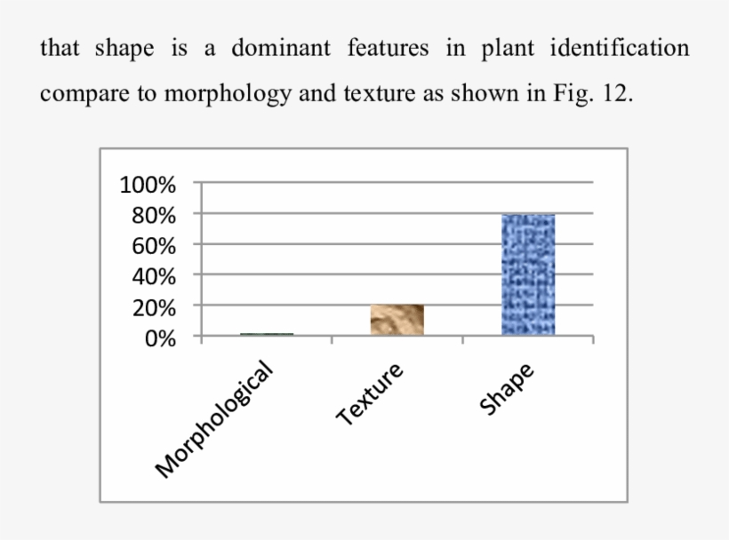 Comparative Analysis Of Leaf Features - Analysis, transparent png download