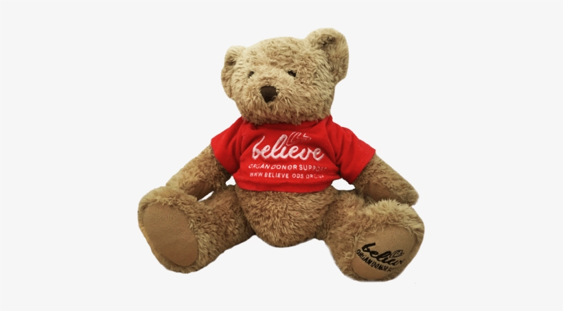 Believe Bear - Doll, transparent png download