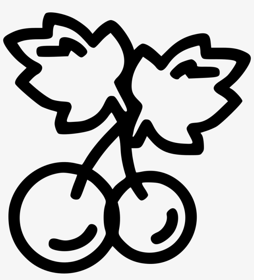 Christmas Mistletoe Holly Leaf Wreath Cherry Comments - Clip Art, transparent png download